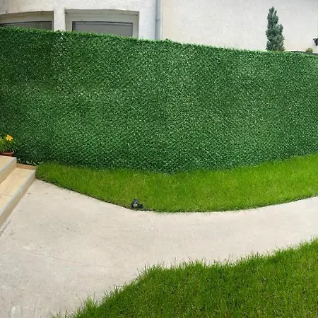 штаб 2 Centre Bg *